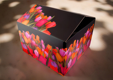 The Offset Print